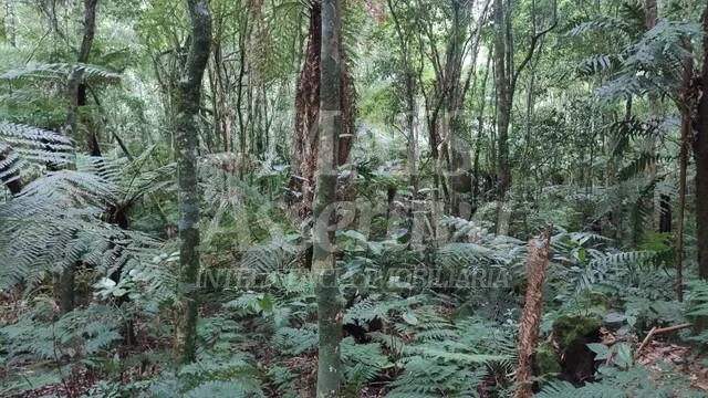 Imagem Terreno para venda loteamento colinas, são francisco de paula