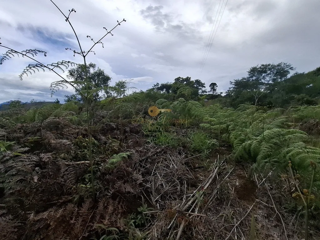 Imagem Terreno para Venda em Teresópolis / RJ no bairro Parque Boa União