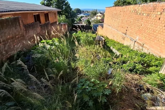 Imagem Terreno/Lote Residencial para venda no bairro Vila Jardim em Porto Alegre