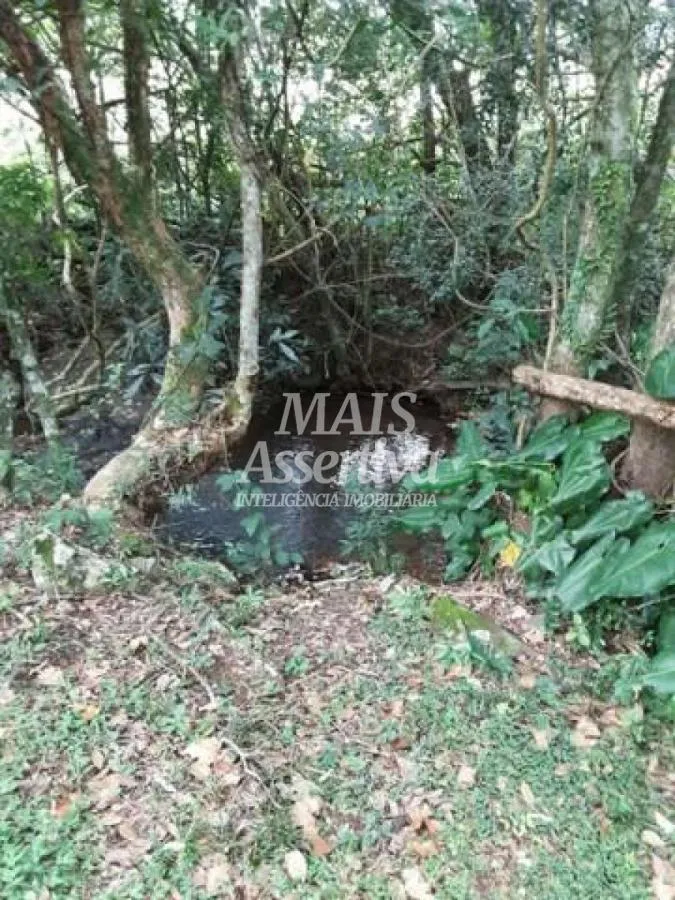 Imagem Sítio para Venda em São Francisco De Paula / RS no bairro Boa Vista
