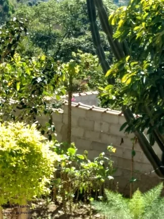 Imagem CHACARA RURAL em CALDAS - MG, LARANJEIRA