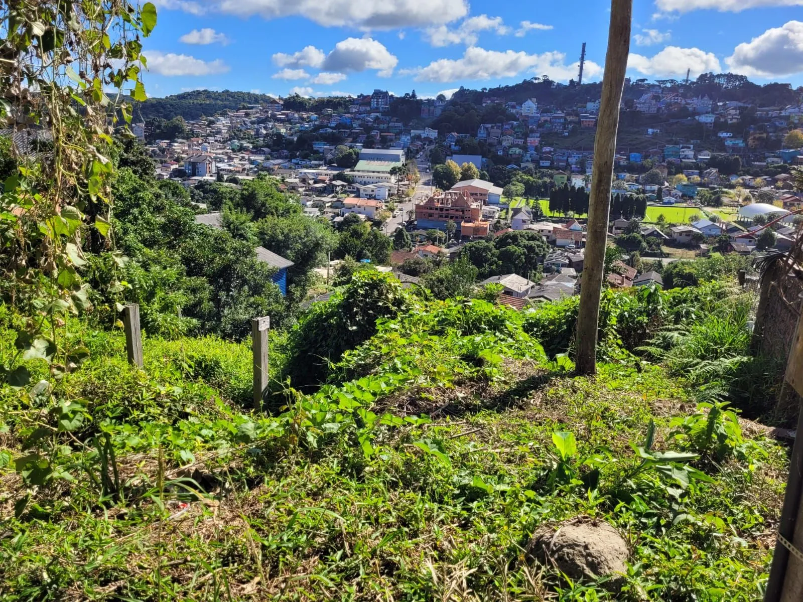 Imagem Lote à venda em Gramado, Piratini, 426m2