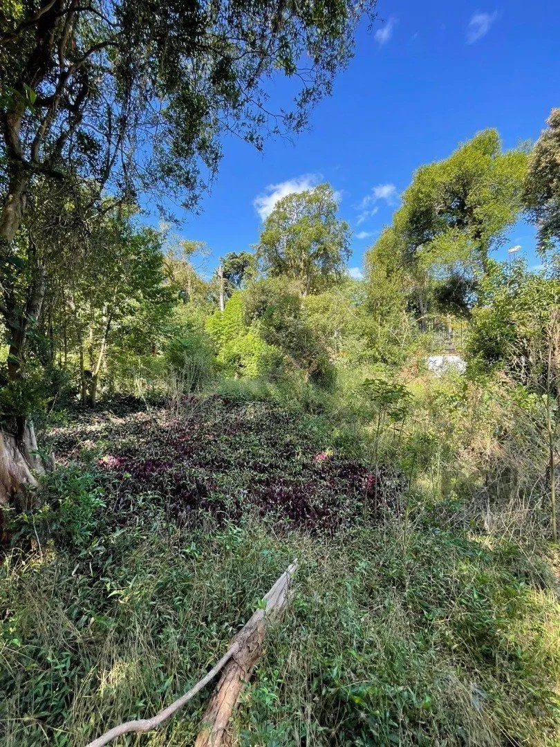 Imagem Terreno em Ipanema