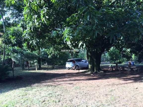 Imagem Chácara com Escritura à Venda – Buritizinho