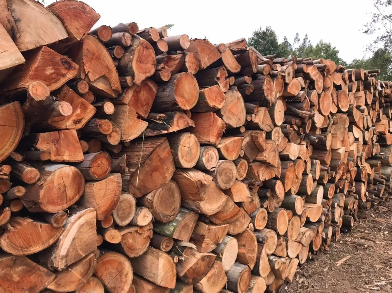 Imagem Refúgio Sereno: Propriedade com Carvoaria e Potencial de Renda em Pilar do Sul