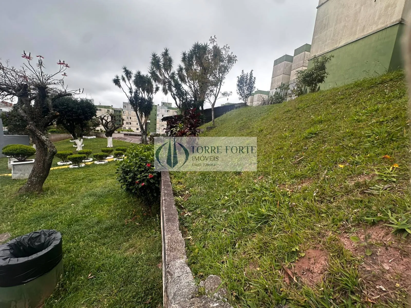 Imagem Oportunidade Apartamento Residencial IV Centenário