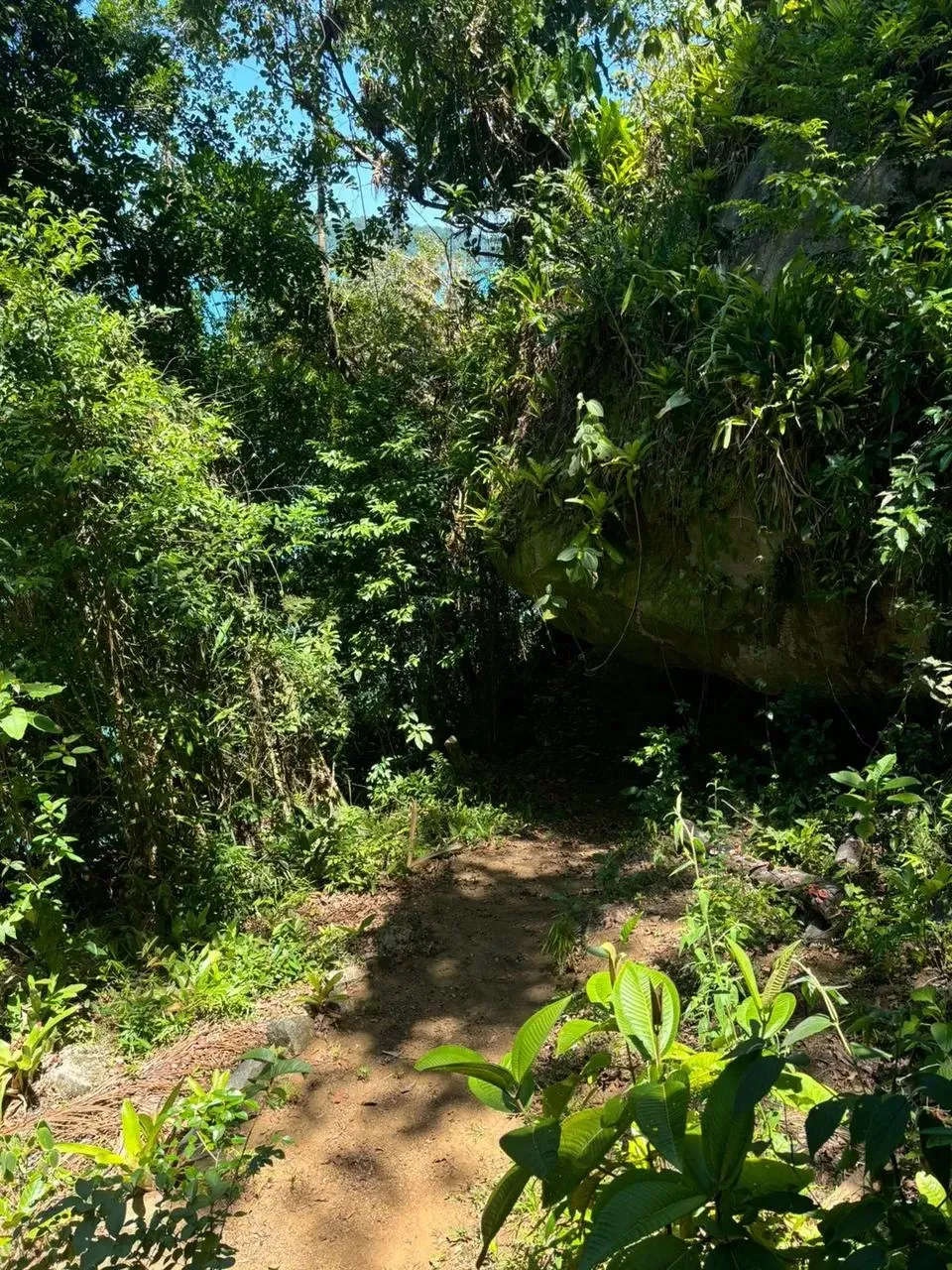 Imagem Terreno à Venda, 5500 metros em Ilha a Venda  - Paraty