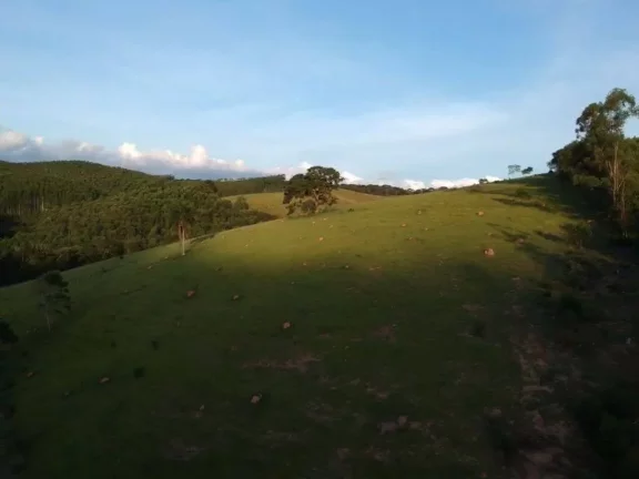 Foto do imóvel Fazenda Piracaia 21 Alqueires à 5 km cidade!!