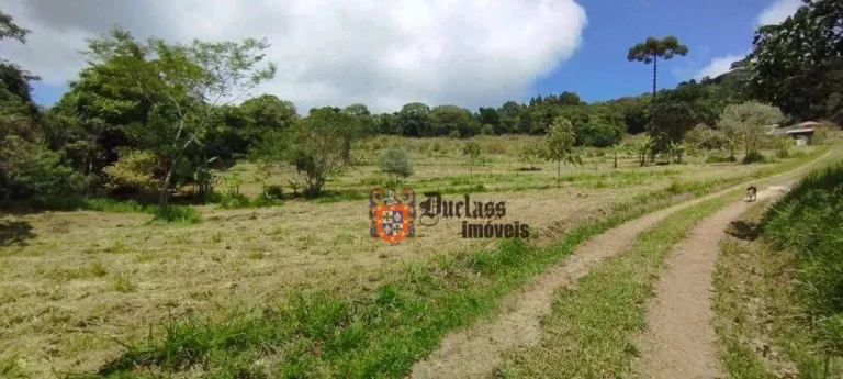 Imagem Sítio com 2 dormitórios à venda, 20000 m² por R$ 1.050.000,00 - Vargem - Vargem/SP