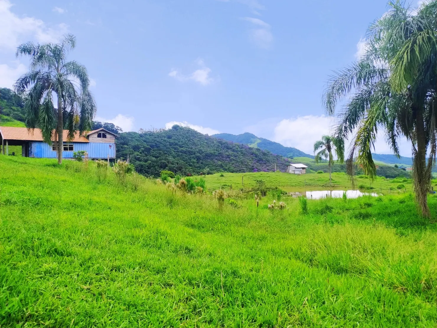 Imagem Chácara à venda 76000M², Ribeirão Grande, Pindamonhangaba - SP