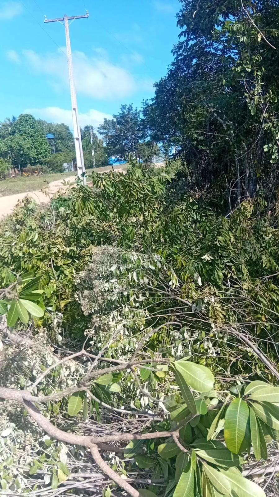Imagem Terreno à venda em Camaçari, Coqueiros de Arembepe (Abrantes), 5000m2