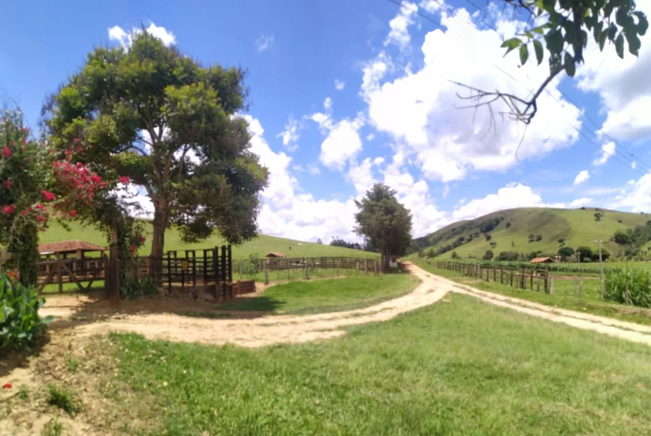 Imagem FAZENDA COMPLETA E ESTRUTURADA PARA PECUÁRIA - 105,5 ALQUEIRES