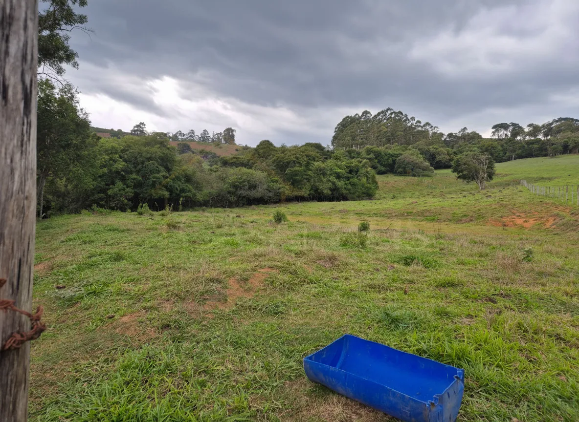 Imagem Chácara 24 m² à venda em Capituvas, Bandeira do Sul