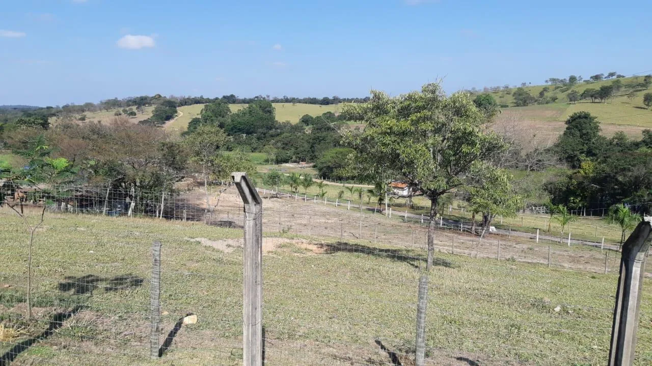 Imagem FAZENDA À VENDA - SÃO GONÇALO DO PARÁ 120 hectares de terra
