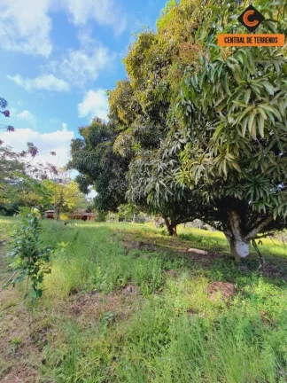 Imagem FAZENDA EM MATA DE SÃO JOÃO