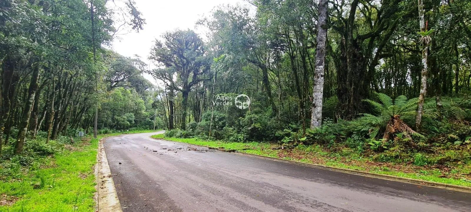 Imagem Terreno à venda por R$ 480.000,00 - Vale do Bosque - Gramado/RS