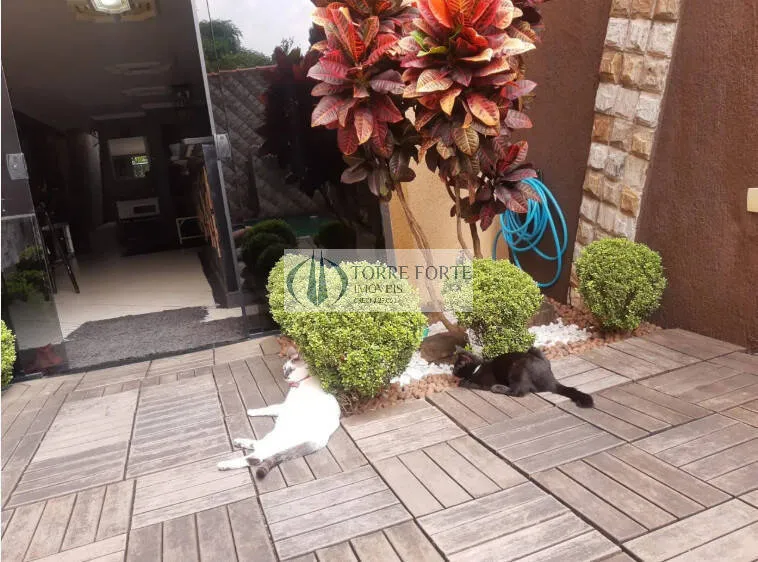 Imagem Linda Casa com 3 Suítes e Piscina no Jardim Imperador 