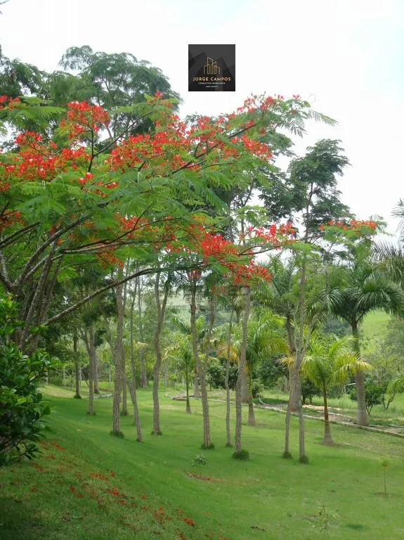 Imagem CH-2447 - CHÁCARA Á VENDA NO GUAMIRIM EM CAÇAPAVA/SP