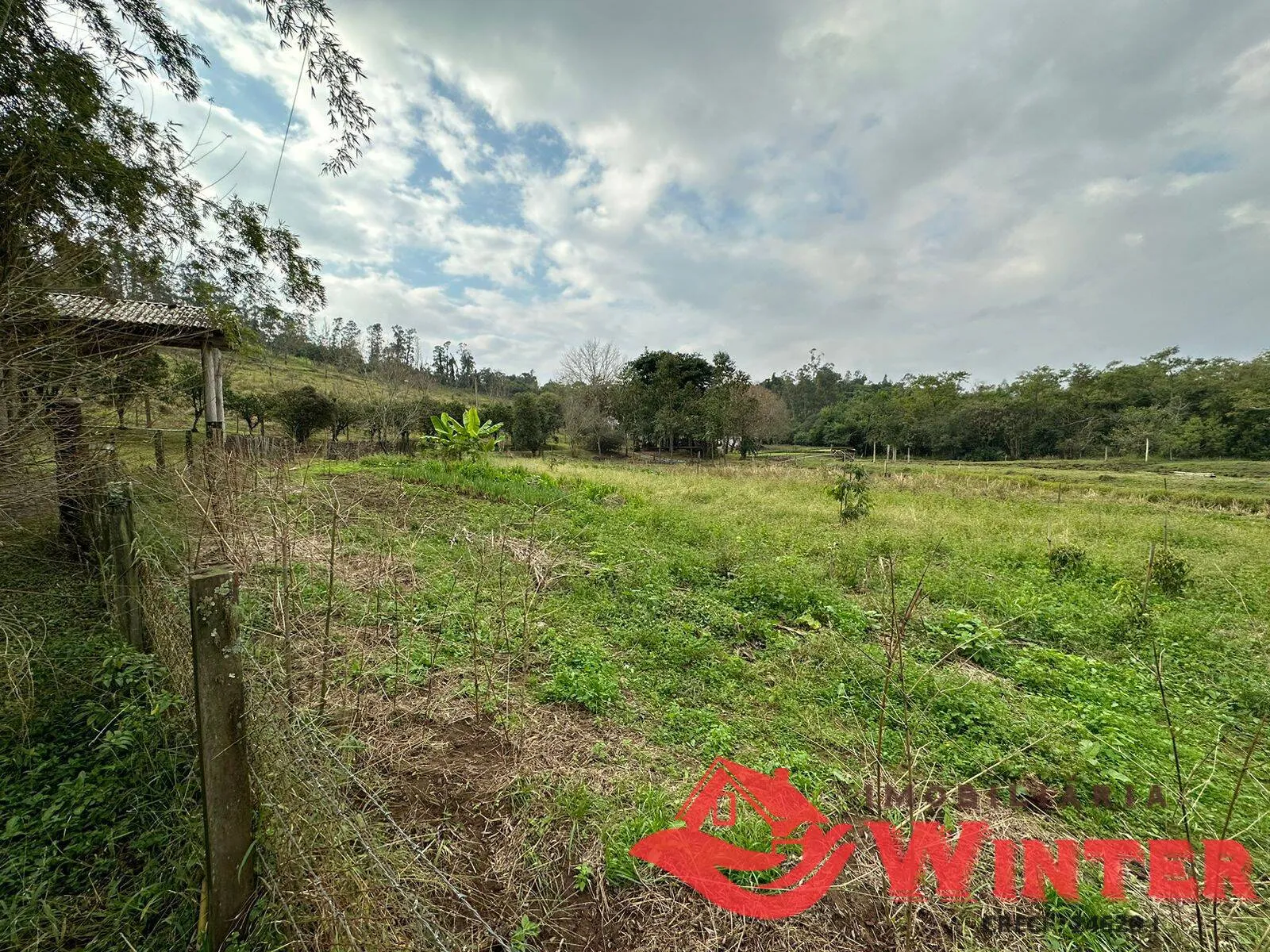 Imagem Chácara com 3,5 hectares com imóvel em Roncador