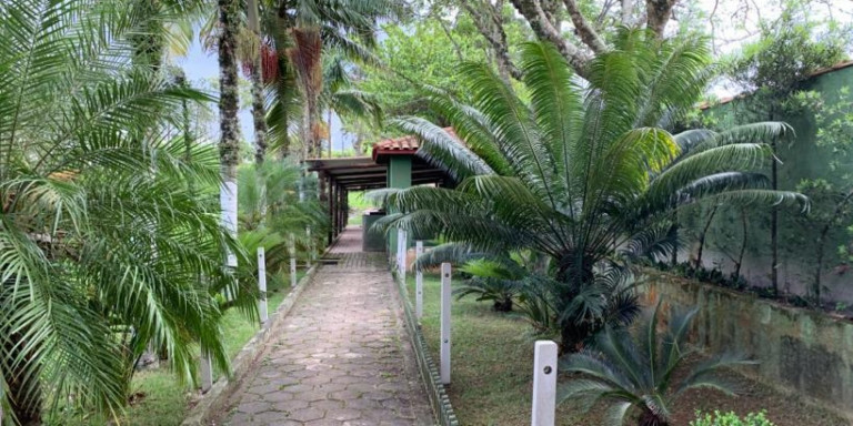 Imagem Chácara com 4 Quartos à Venda, 13.000 m² em Centro - Santa Isabel