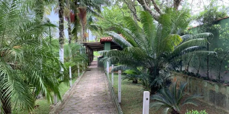 Imagem Chácara com 4 Quartos à Venda, 13.000 m² em Centro - Santa Isabel