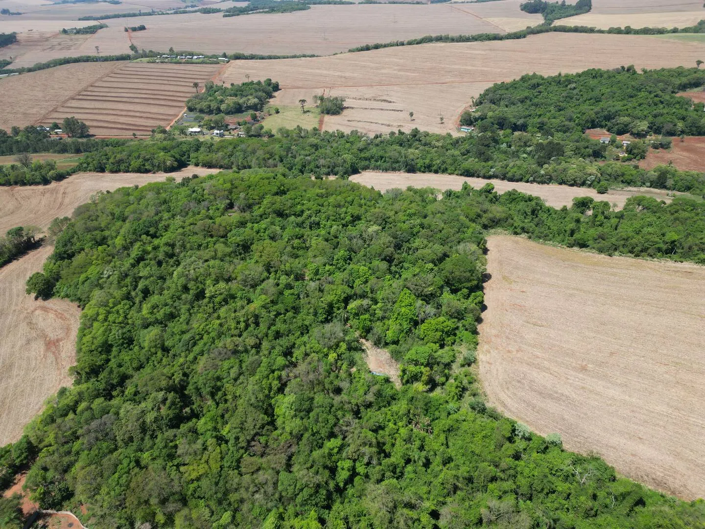 Imagem Chácara a venda em Cascavel, com 2,0992 hectare cada uma e matrícula indiviauais.