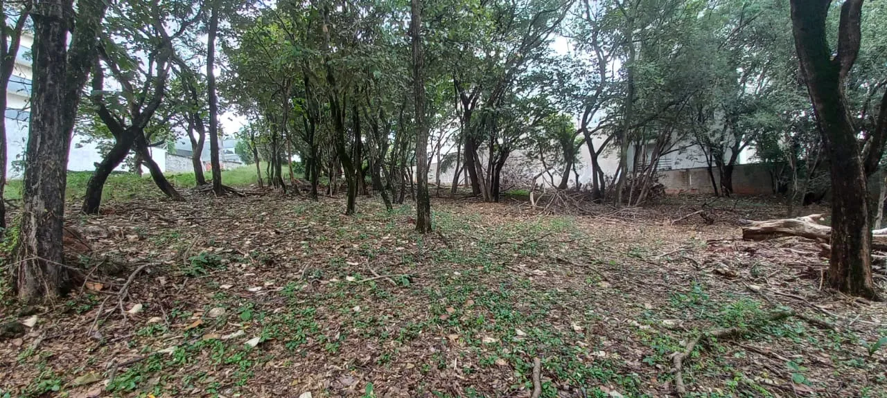 Imagem Área de 7.000.00 m² no Campolim