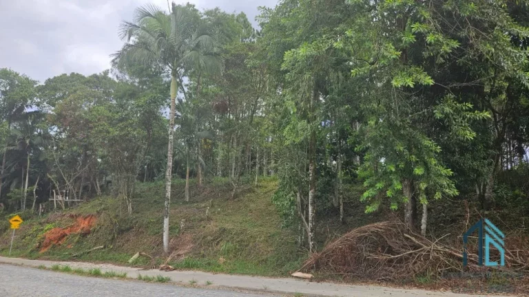 Imagem Terreno de Esquina a venda - Zona Industrial 7872 m2 em Blumenau SC