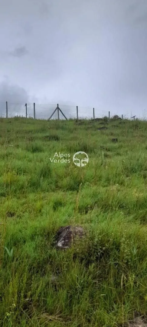 Imagem Terreno á venda por R$ 115.000,00 - Vila Eletra, São Francisco de Paula/RS