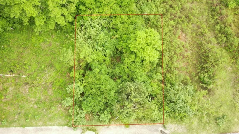 Foto do imóvel Terreno para Venda em Concórdia, Jardim em Veneto