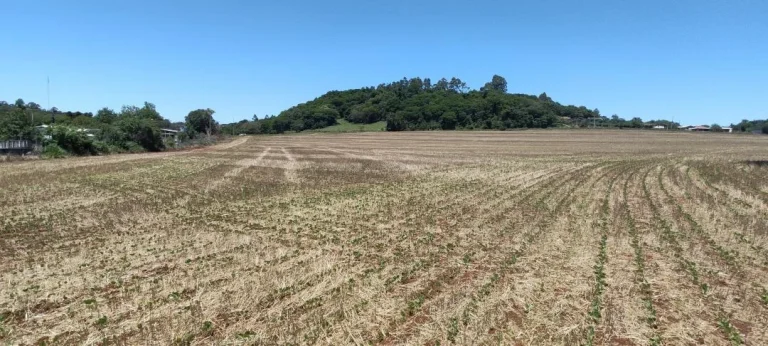 Imagem Chácara à venda em Cascavel - São Salvador - Lavoura e Rio
