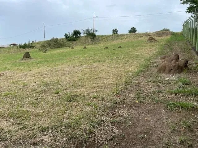 Imagem Terreno à venda 2334M², Caçapava Velha, Caçapava - SP | Terras de Santa Mariana