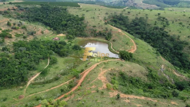 Fazenda 55 alqueires escriturada produtiva com muita água em Colatina.