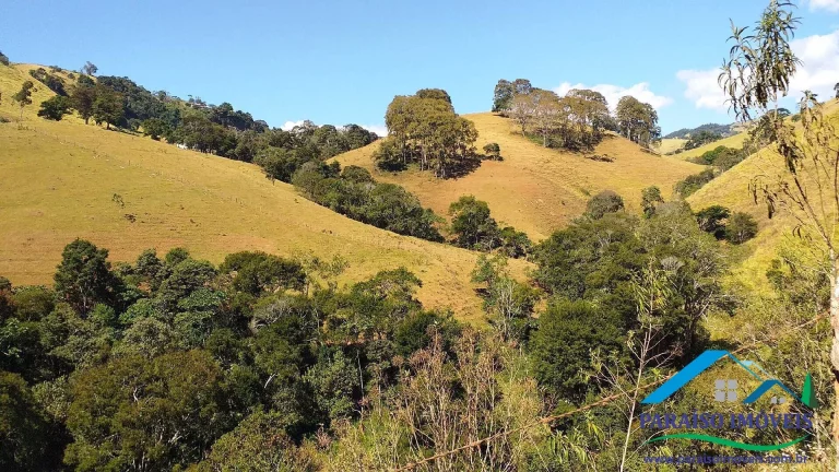Imagem Paraíso Ecológico: Terreno com Nascente Própria e Vista Panorâmica.