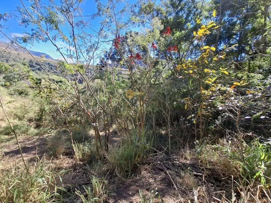Imagem Terreno para Venda em Teresópolis / RJ no bairro Jardim Salaco