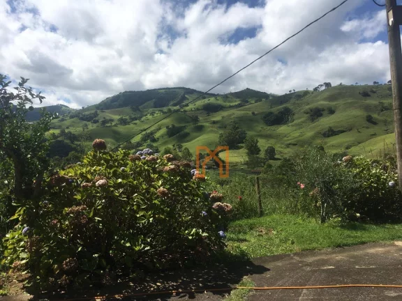 Imagem Fazenda com 4 dormitórios à venda de 303 hectares - Zona Rural - Delfim Moreira/MG