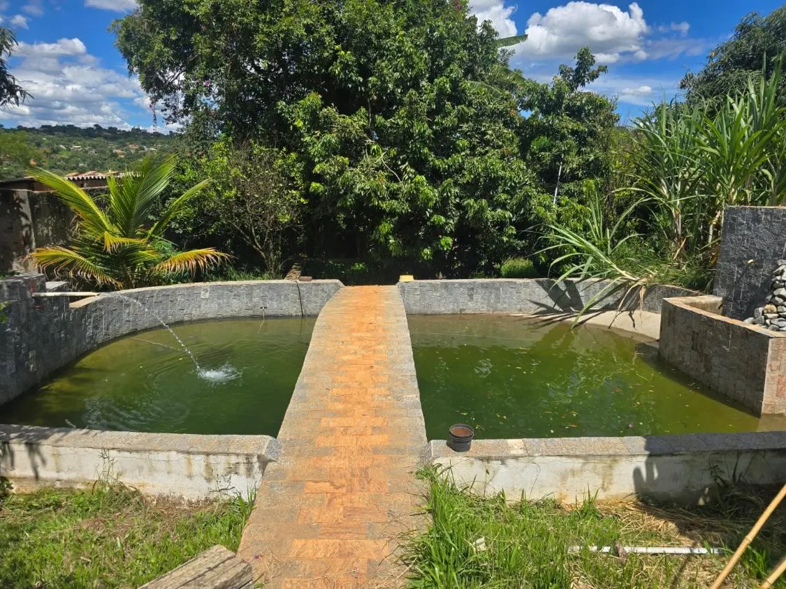 Imagem Vendo excelente sítio em Mateus Leme ,área total de 2.800 m²
