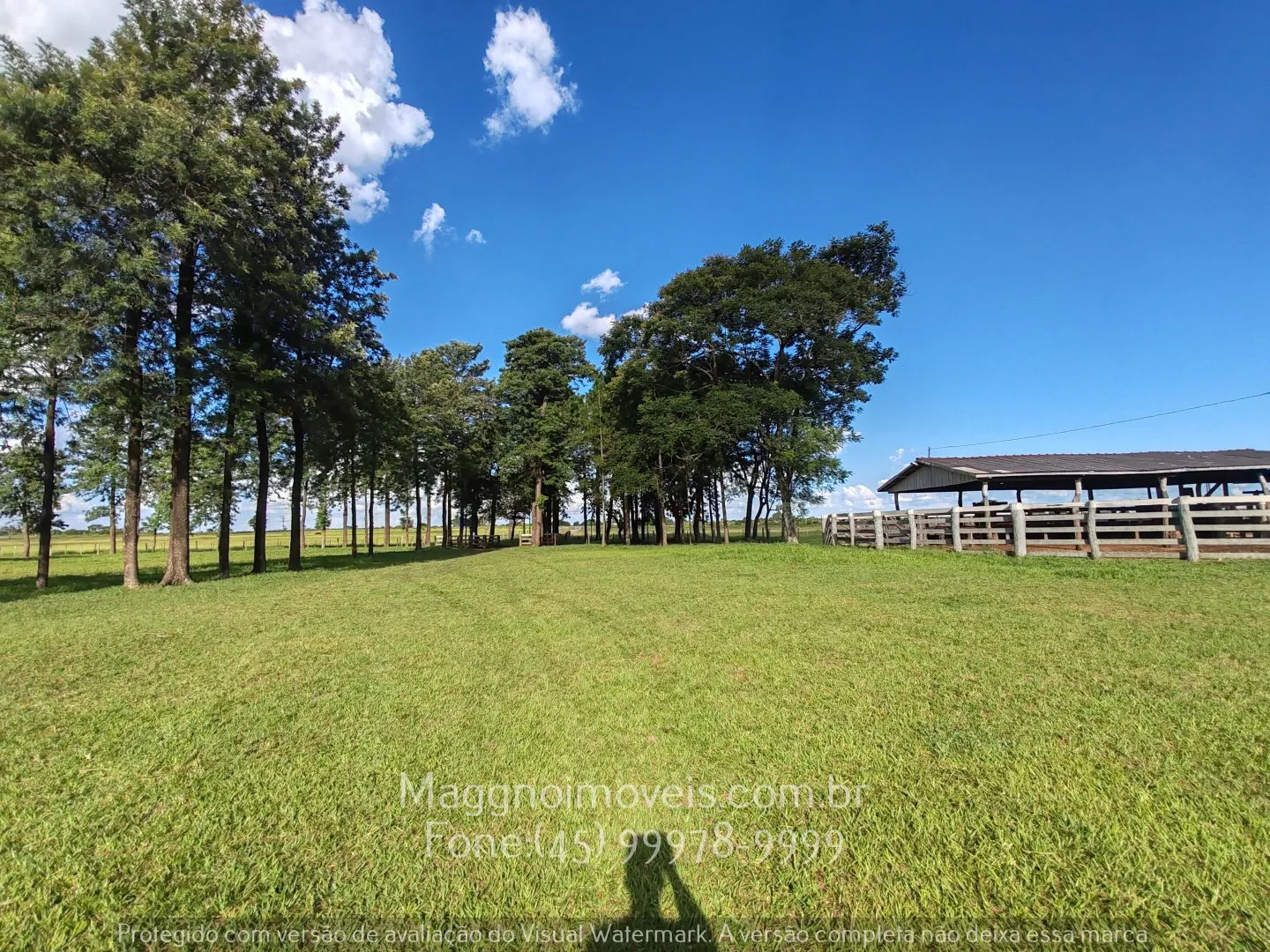 Imagem Fazenda à venda em Amambaí - Zona Rural - 62,4 alqueires!
