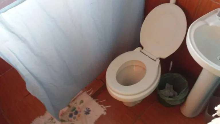 Imagem Sítio com 600m², Casa 60m², em Condomínio fechado, Águas Claras, Viamão