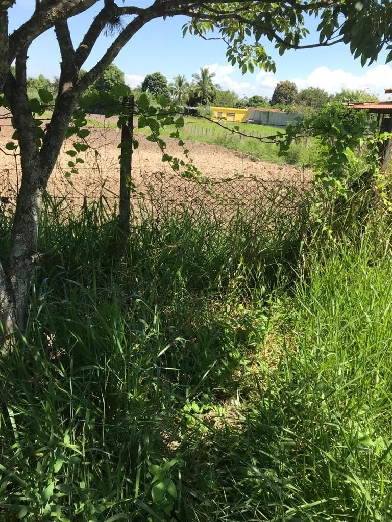 Imagem Terreno à venda 2000M², Pedro Leme, Roseira - SP