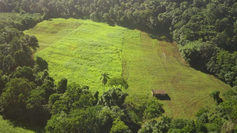Imagem Área Agrícola para Venda em Lindóia do Sul, Rural