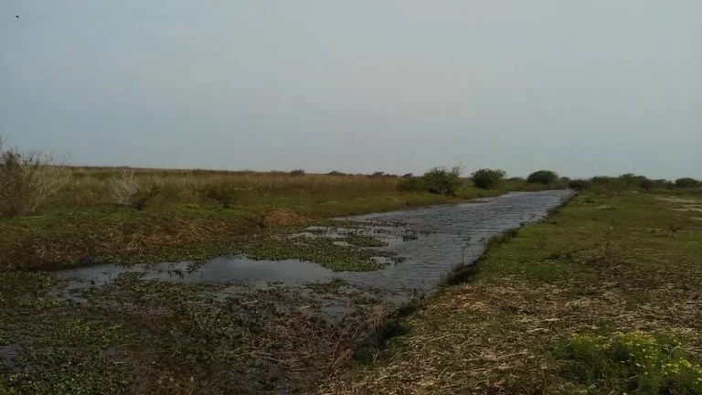 Imagem Fazenda à Venda – 194 Hectares – Viamão/RS