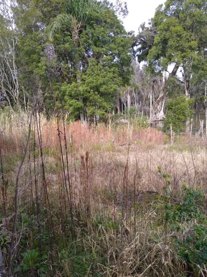 Imagem Chácara para Venda em Gramado / RS no bairro Várzea Grande Linha Carara