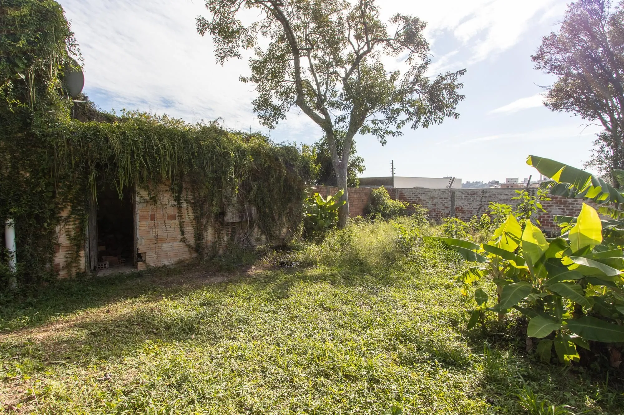 Imagem Casa de 3 dormitórios, 1 suíte e 2 vagas no bairro Vila Conceição.