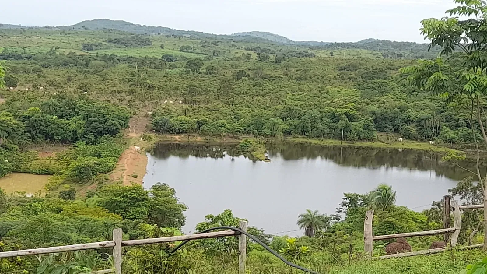 Imagem Fazenda à Venda, 600 HA em Floresta do Araguaia - Floresta do Araguaia
