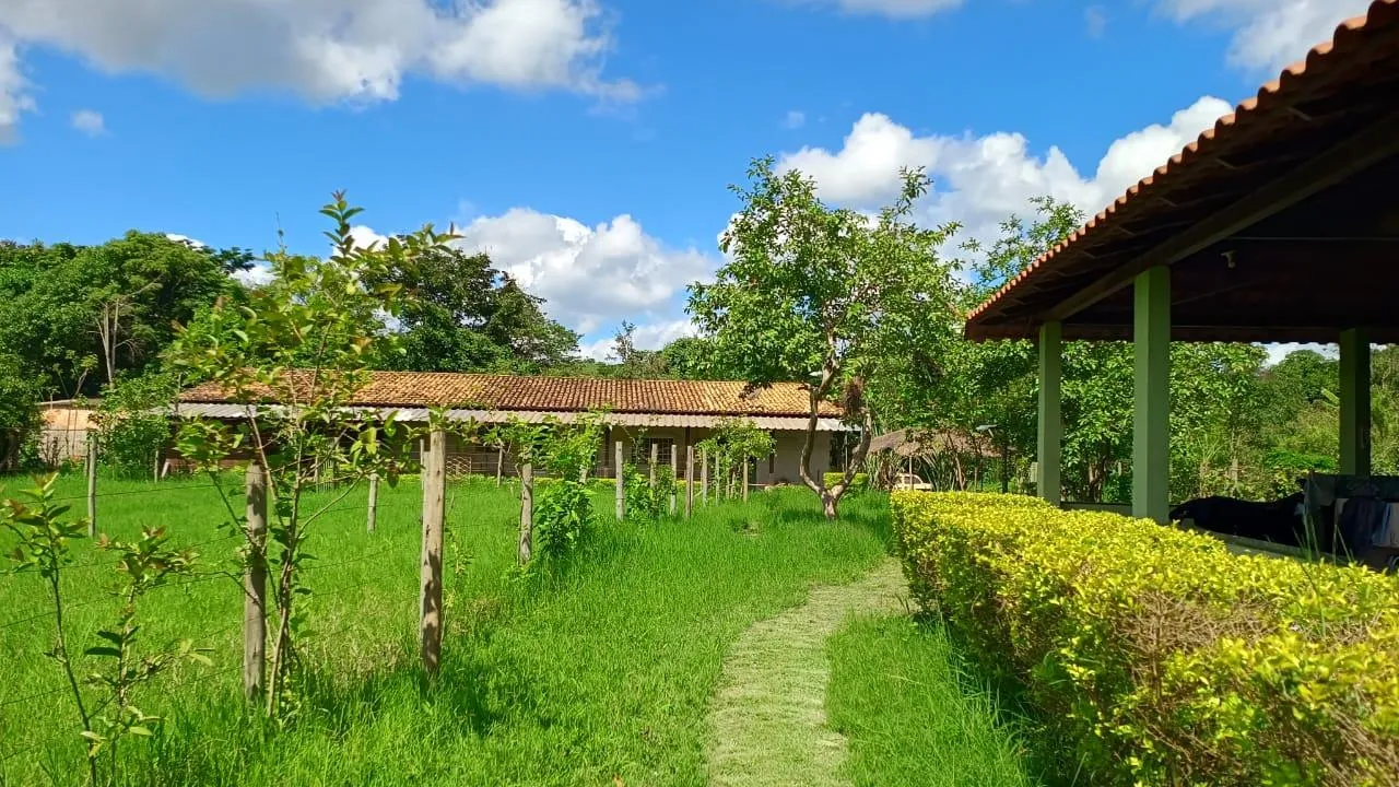 Imagem Vendo ótima chácara em Crucilândia com 7.000 m² de area
