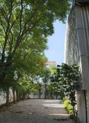 Imagem Galpão para alugar, 2305 m² por R$ 124.945,00/mês - Parque Novo Mundo - São Paulo/SP