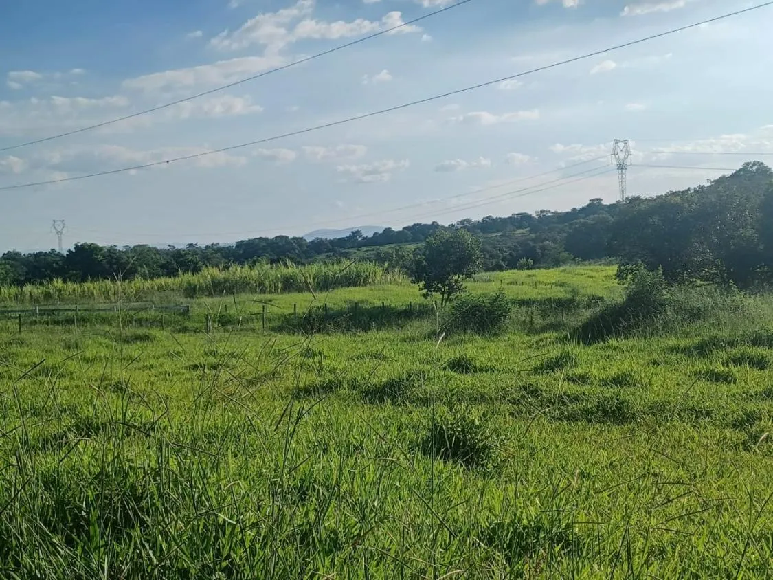 Imagem Vendo excelente fazendinha em Esmeraldas/MG 78 hectares de terra