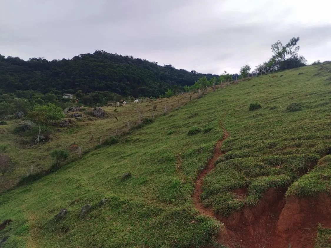 Imagem Terreno com 20.000 m² ? A Apenas 3 km de Piracaia!