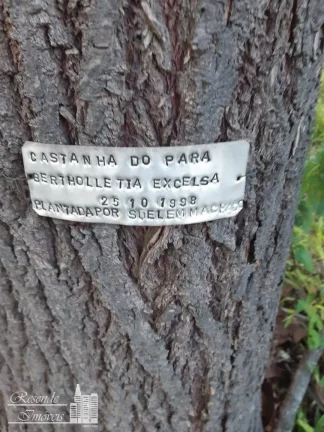 Imagem TERRENO A VENDA NO CENTRO